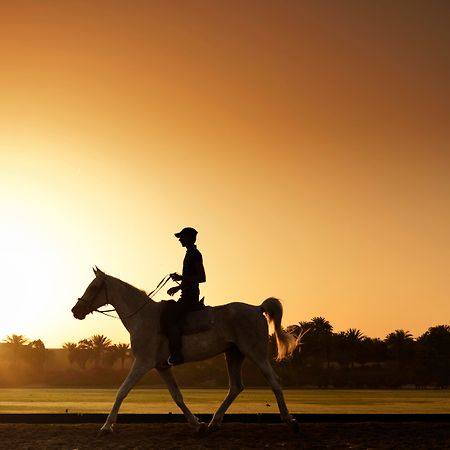 Melia Desert Palm Member Of Melia Collection Dubai Eksteriør billede A horse and rider at sunrise