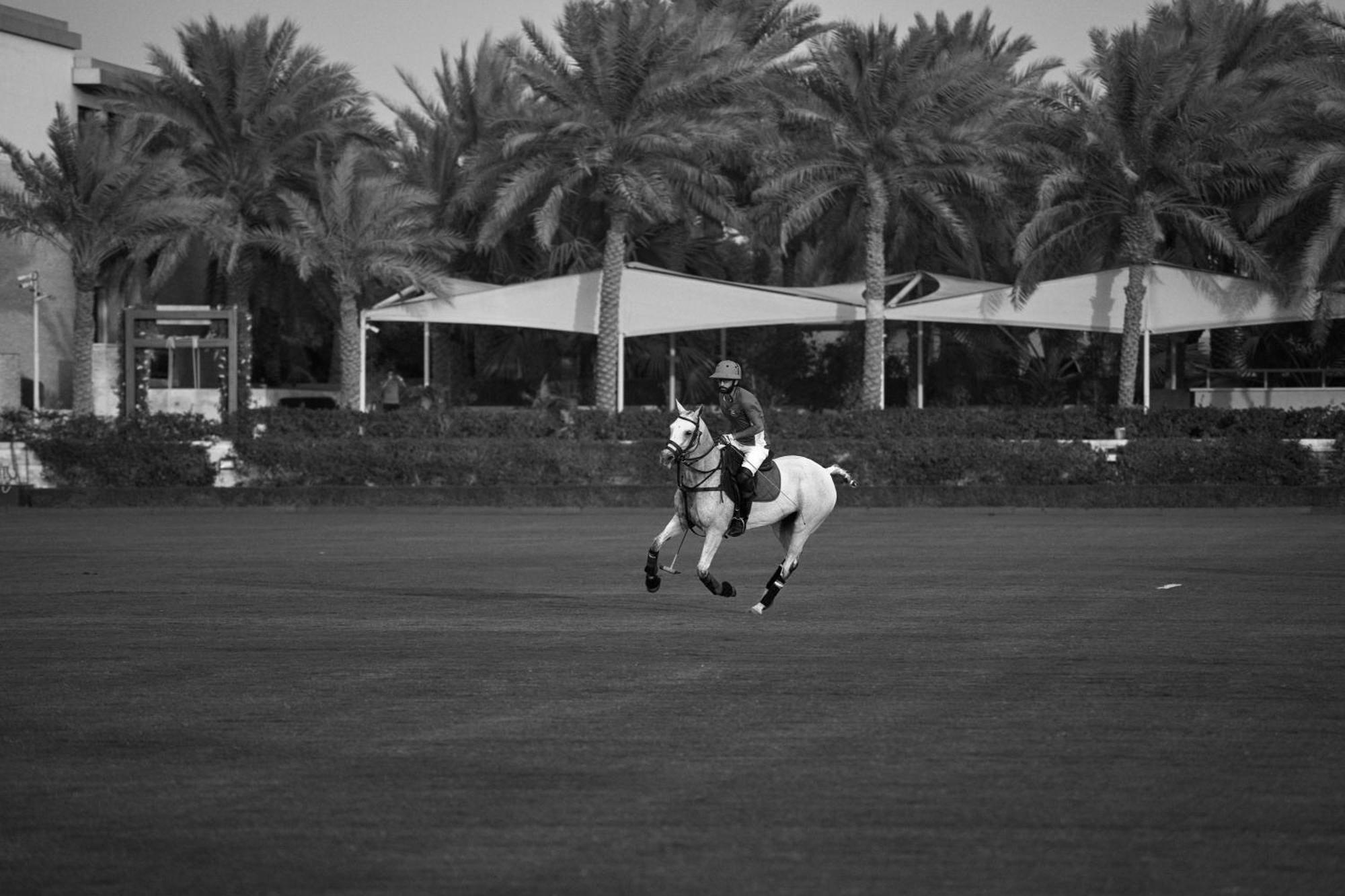 Melia Desert Palm Member Of Melia Collection Dubai Eksteriør billede A horse in Al-Shaqra
