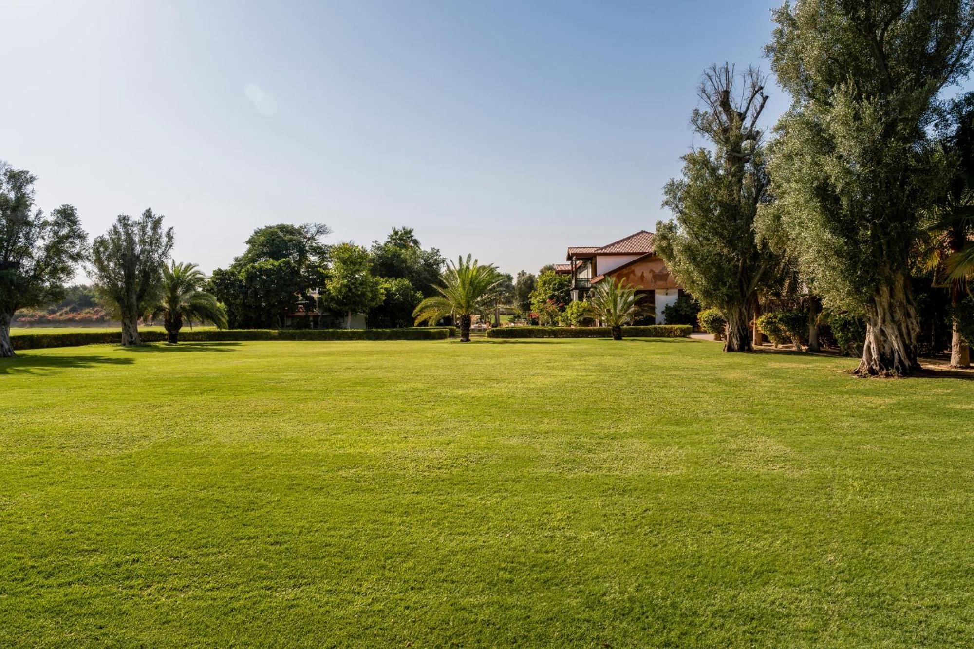 Melia Desert Palm Member Of Melia Collection Dubai Eksteriør billede The garden of the villa